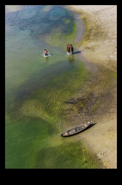 الواجهات البحرية الحضرية: العيش على ضفاف النهر في المدينة