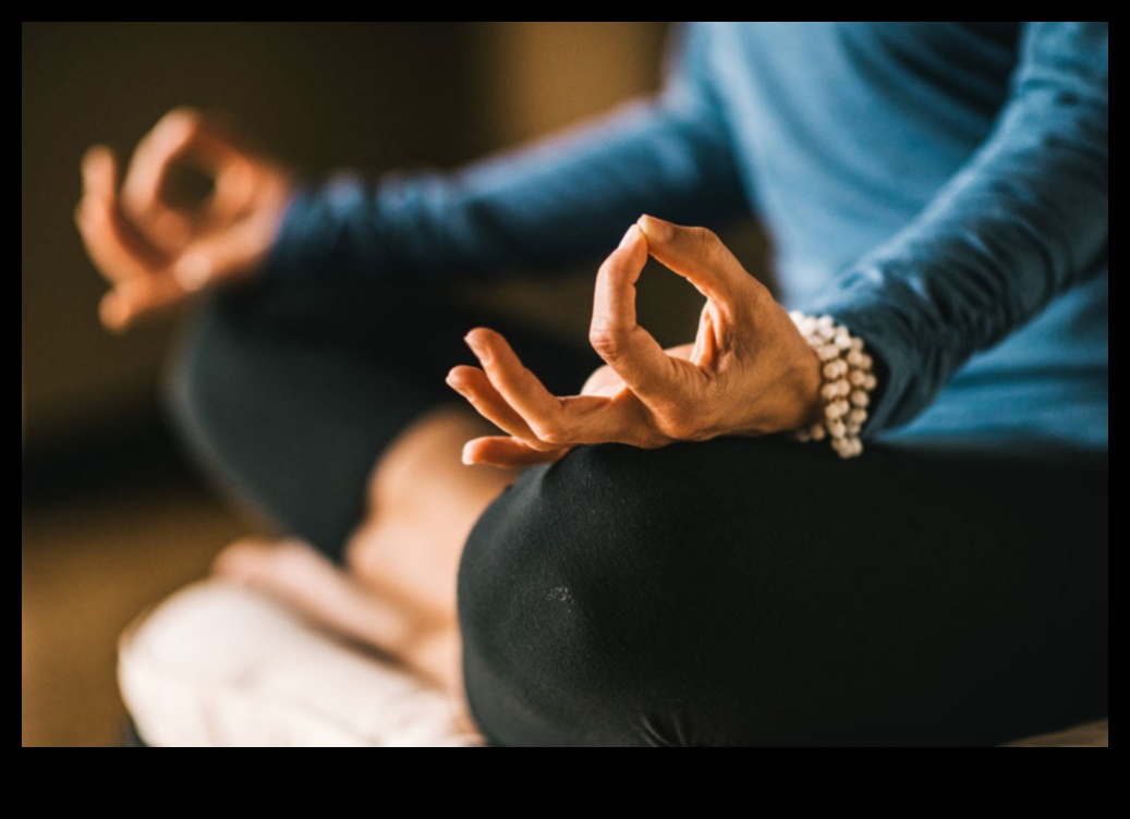 أصوات هادئة، عقل واضح: جاذبية التأمل الموجه