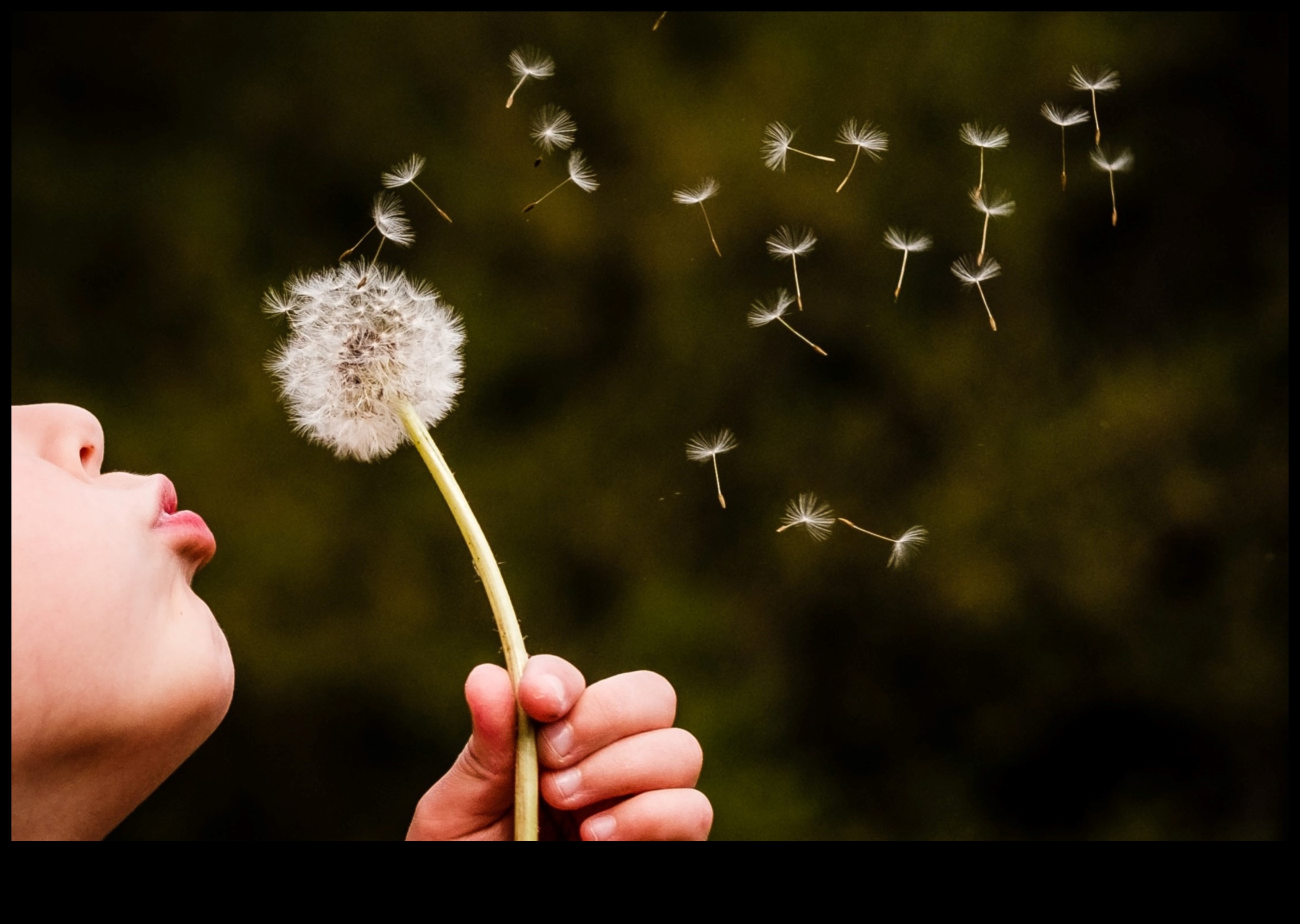 نفس النعيم: استنشاق الفرح، وزفير التوتر مع حكمة تخفيف التوتر