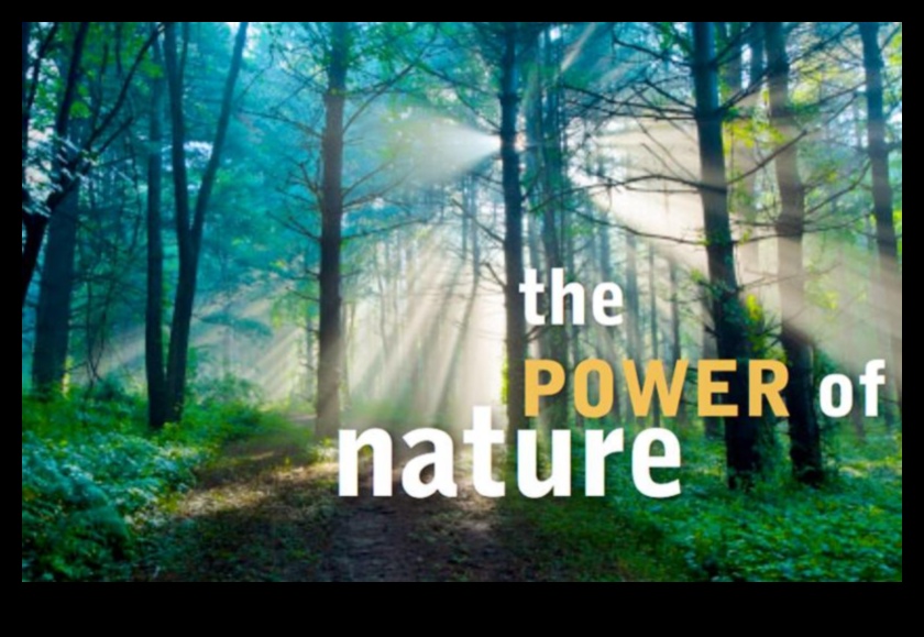 قوة الشفاء من الطبيعة 5 كيف تؤثر المناظر الطبيعية على الصحة العقلية للأفراد؟