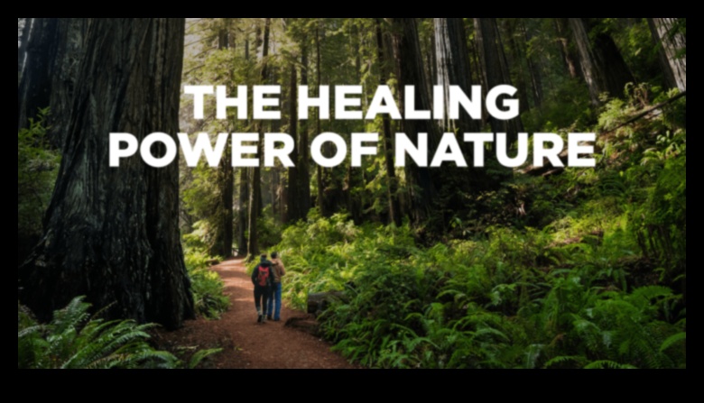 قوة الطبيعة العلاجية 3 كيف تؤثر المناظر الطبيعية على الصحة العقلية للأفراد؟