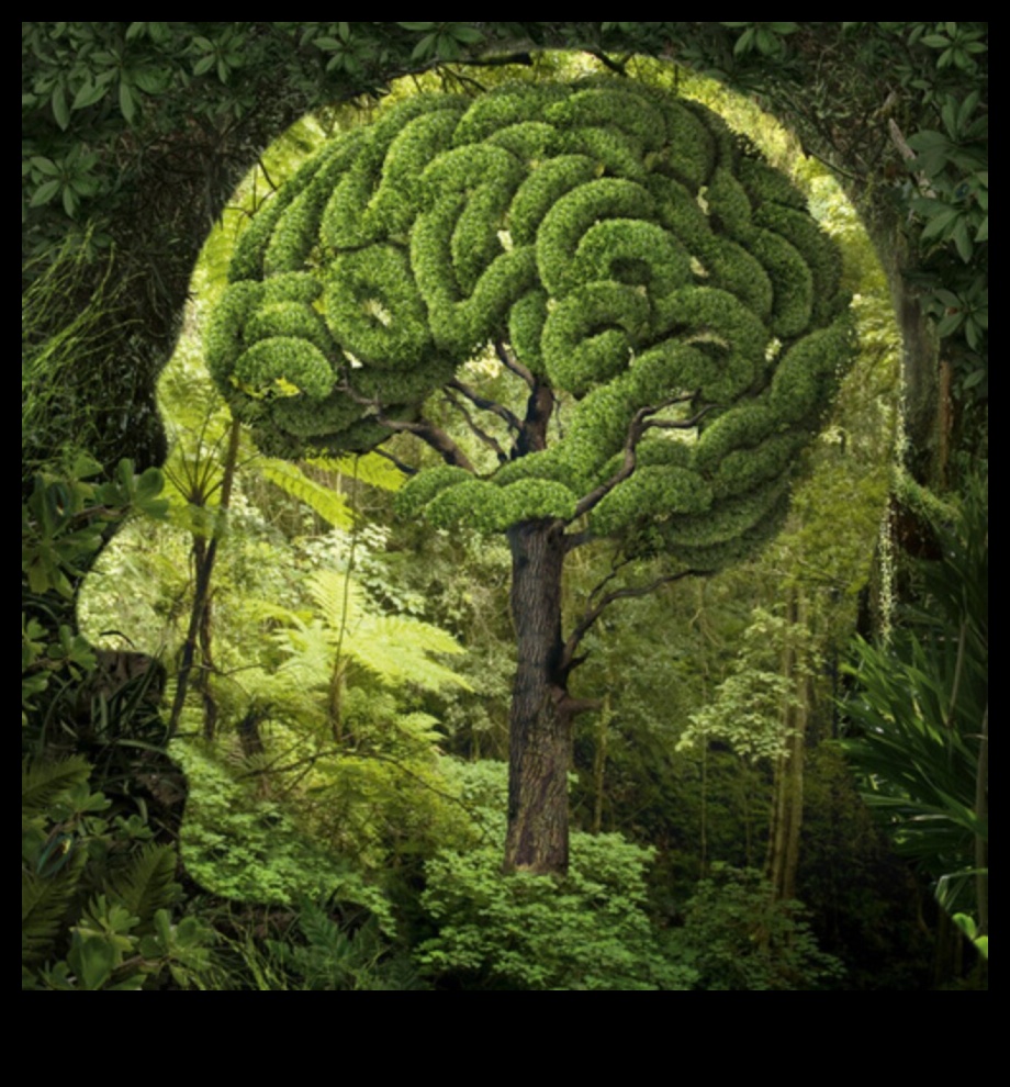 قوة الطبيعة العلاجية 4 كيف تؤثر المناظر الطبيعية على الصحة العقلية للأفراد؟