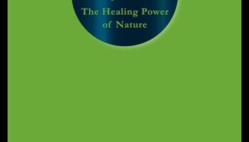 كيف تؤثر المناظر الطبيعية على الصحة العقلية للأفراد؟