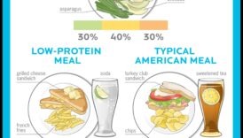 ما هي كمية البروتين التي تحتاجها حقًا عند اتباع نظام غذائي عالي البروتين؟