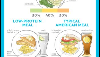 ما هي كمية البروتين التي تحتاجها حقًا عند اتباع نظام غذائي عالي البروتين؟