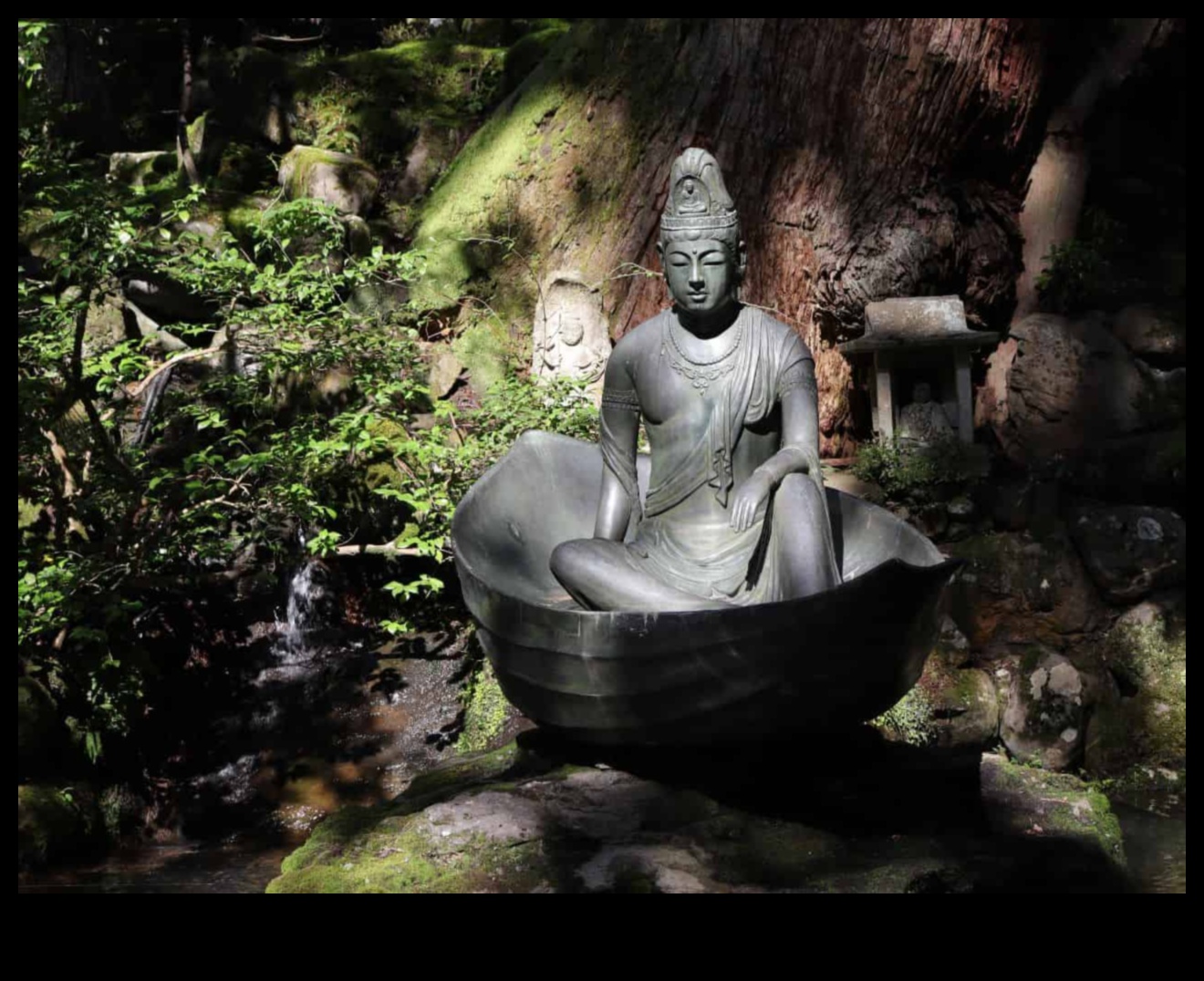 الهدوء الأبدي: رحلة تاريخية إلى فن التأمل 4 الهدوء الأبدي: رحلة تاريخية إلى التأمل