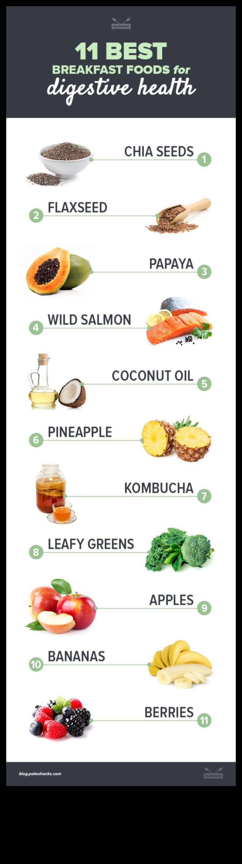 العلاقة بين باليو وصحة الجهاز الهضمي