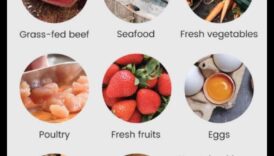 العلاقة بين باليو وصحة الجهاز الهضمي