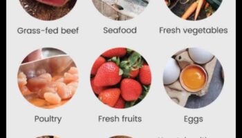 العلاقة بين باليو وصحة الجهاز الهضمي