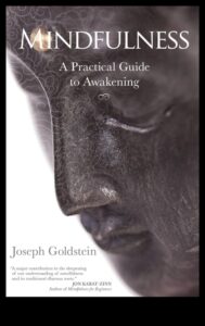 توقظ الآن: التنقل في التأمل اليقظه