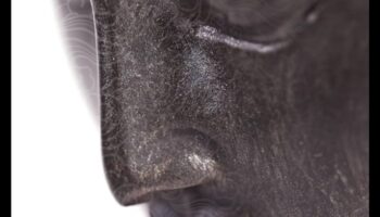 توقظ الآن: التنقل في التأمل اليقظه