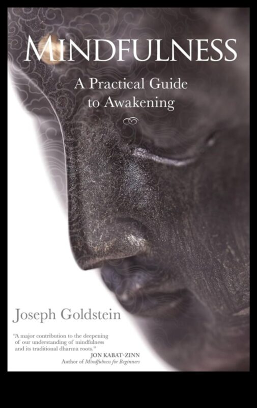 توقظ الآن: التنقل في التأمل اليقظه