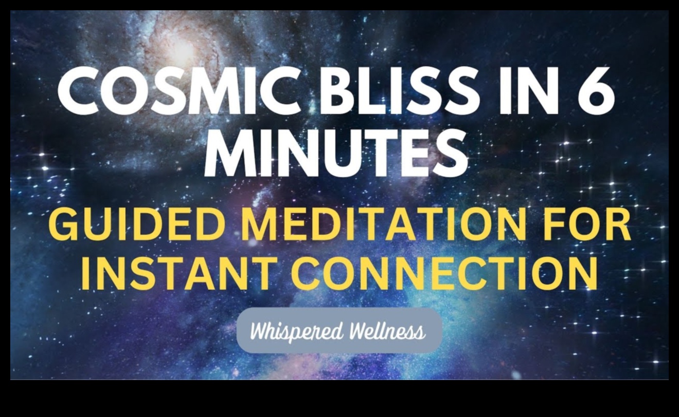 أوديسا انعدام الوزن: رحلة سماوية عبر الجاذبية الصفرية