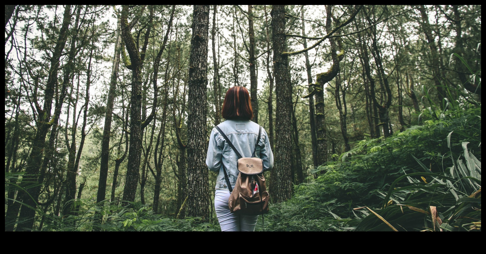 تم الكشف عن الأناقة الترابية: عرض للمناظر الطبيعية الخلابة