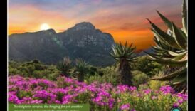 تم الكشف عن الأناقة الترابية: عرض للمناظر الطبيعية الخلابة