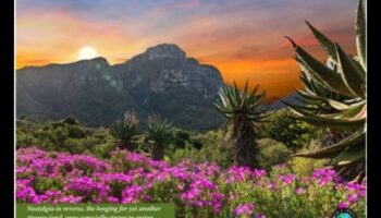 تم الكشف عن الأناقة الترابية: عرض للمناظر الطبيعية الخلابة