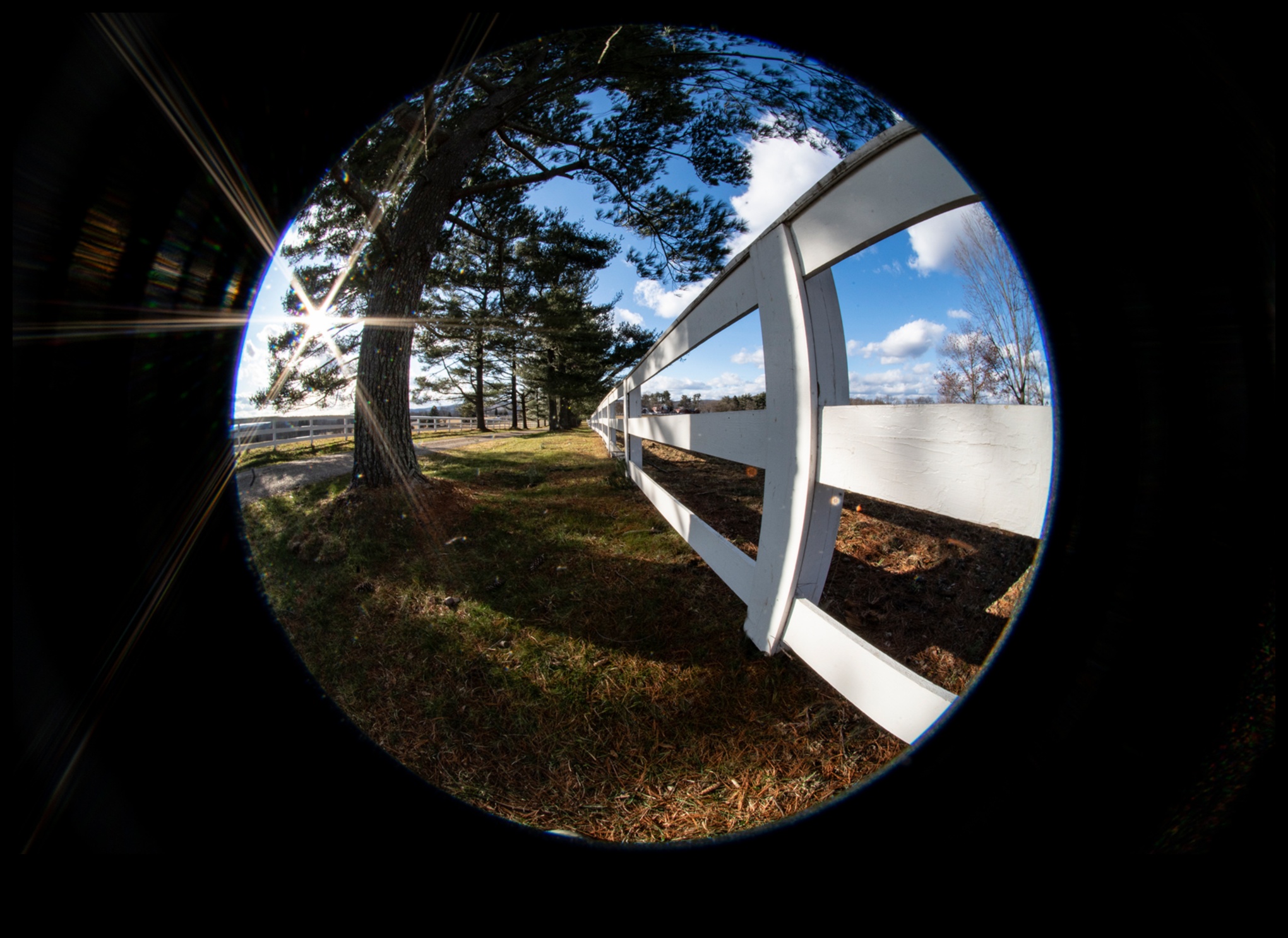 المناظر الطبيعية من خلال عدسة عين السمكة 3 حقائق مجردة: وجهات نظر مشوهة في فن المناظر الطبيعية