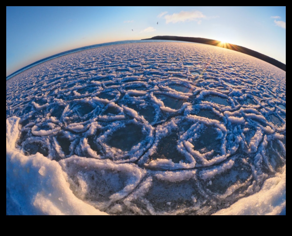 المناظر الطبيعية من خلال عدسة عين السمكة 4 حقائق مجردة: وجهات نظر مشوهة في فن المناظر الطبيعية