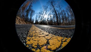 حقائق مجردة: وجهات نظر مشوهة في فن المناظر الطبيعية