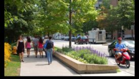 مناظر الشوارع في الحركة: نبض القلب الديناميكي للمدن