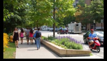 مناظر الشوارع في الحركة: نبض القلب الديناميكي للمدن