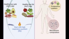 الأنظمة الغذائية طويلة الأمد وأهمية الترطيب