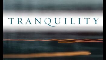 تأملات هادئة: تصوير المناظر الطبيعية في أفضل حالاته