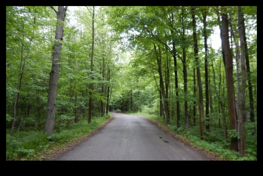 المشهد المتغير للطبيعة 4 وجهات نظر ساحرة: تم الكشف عن مجموعة من المناظر الطبيعية الجذابة