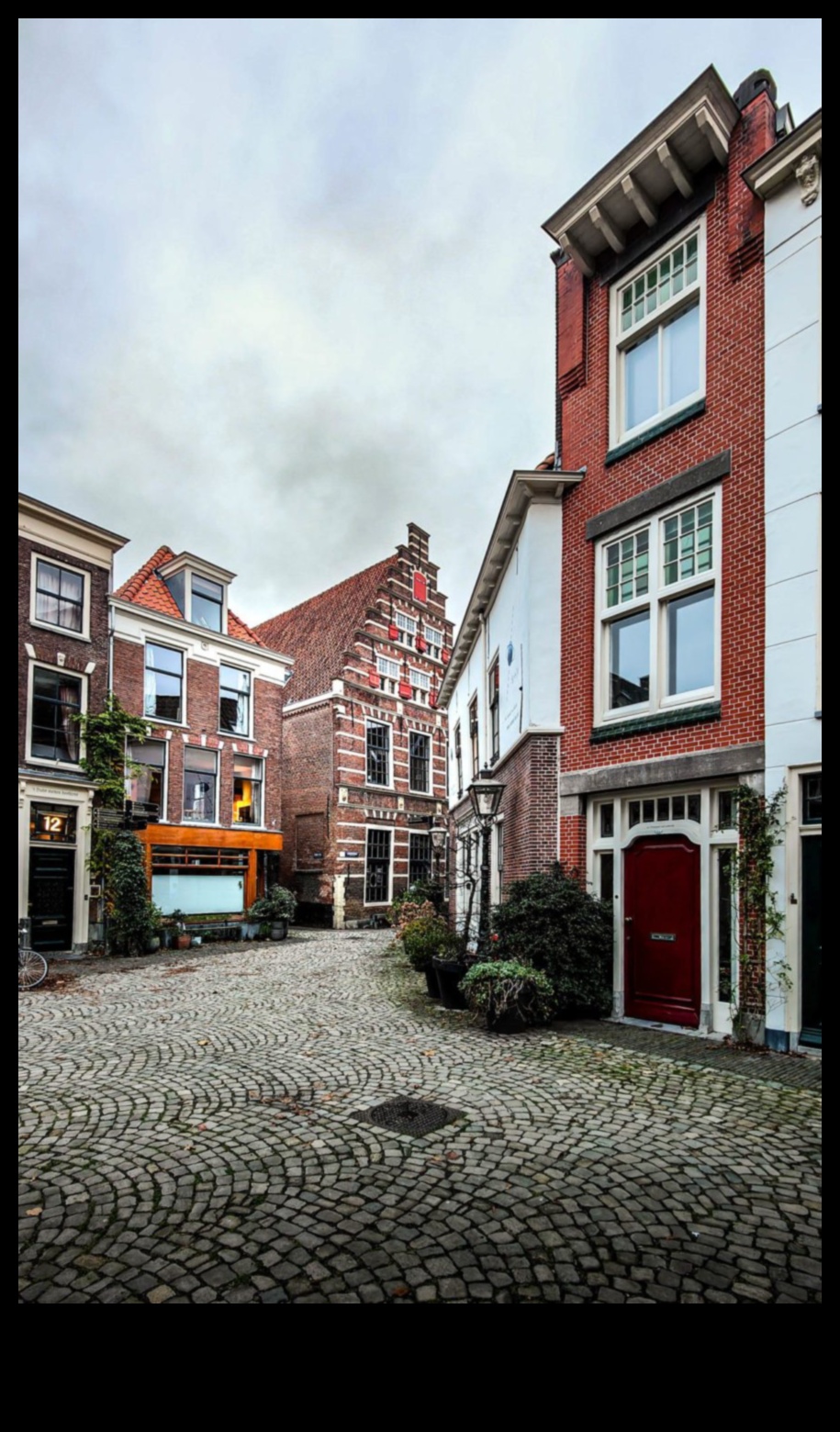 تراث ليدن: مساهمات فنية من المدينة الهولندية