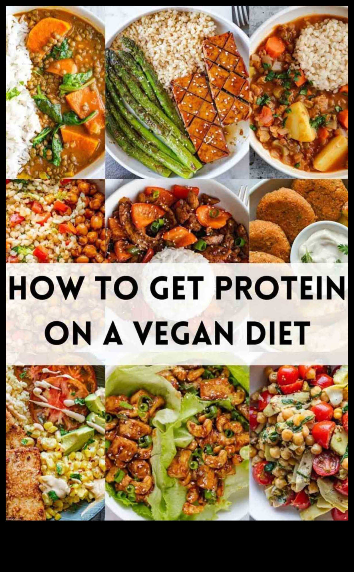 الأنظمة الغذائية عالية البروتين للنباتيين والنباتيين: خيارات مدعومة بالنباتات