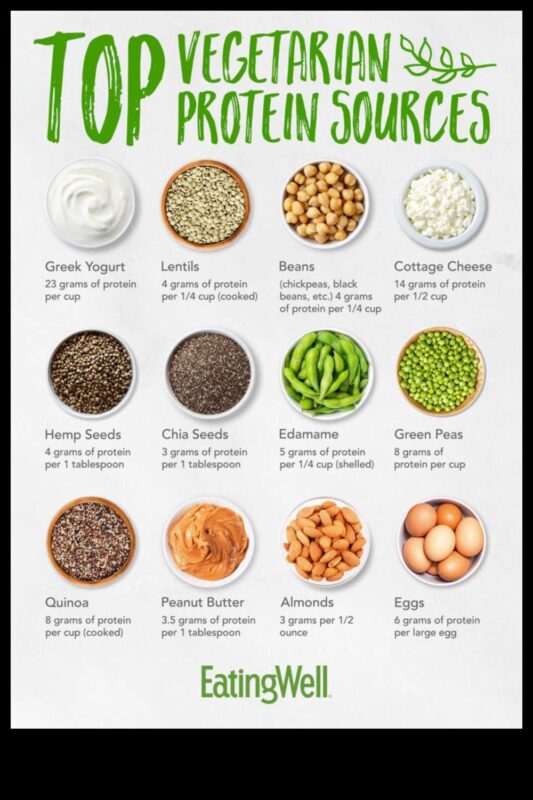 الأنظمة الغذائية عالية البروتين للنباتيين والنباتيين: خيارات مدعومة بالنباتات
