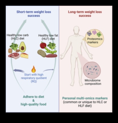 الأنظمة الغذائية طويلة الأمد وأهمية الترطيب