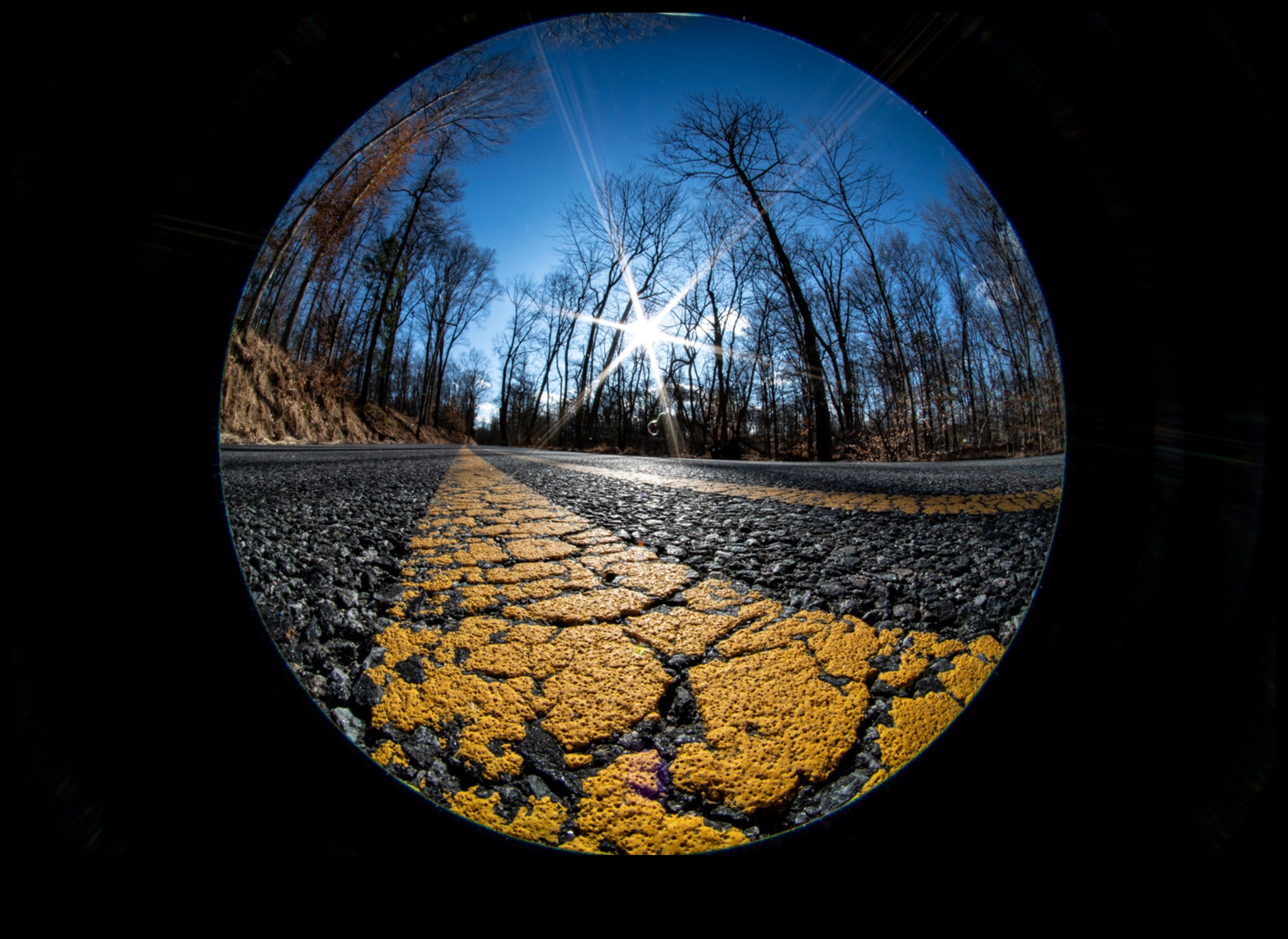 المناظر الطبيعية من خلال عدسة عين السمكة 2 حقائق مجردة: وجهات نظر مشوهة في فن المناظر الطبيعية